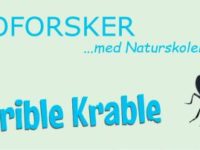 Mikroforsker på Naturskolerne