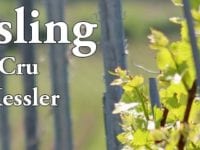 Grand Cru Riesling, Grafik Holte Vinlager