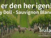 Baby Doll Sauvignon Blanc