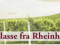 Weltklasse fra Rheinhessen!