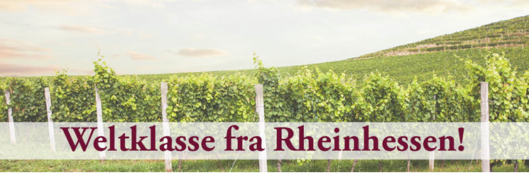 Weltklasse fra Rheinhessen!