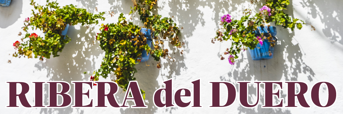 Lækkerier fra Ribera del Duero