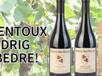 Vin fra Ventoux har aldrig været bedre!