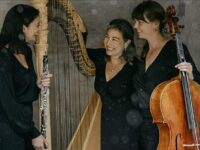 Pressefoto Florin Harp Trio