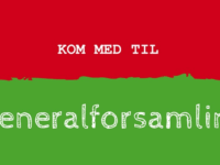 Generalforsamling i vandrelaug